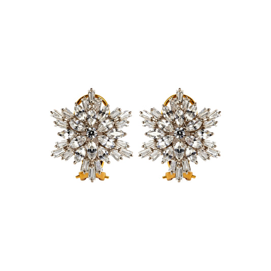 Gold Earrings-T08333